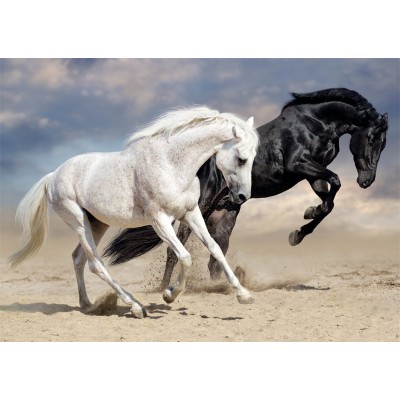 Puzzle Nathan-87791 Wild Gallop