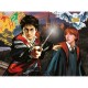 XXL Pieces - Harry Potter and Ron
