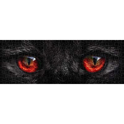 Puzzle Nova-Puzzle-40005 Cat Eyes