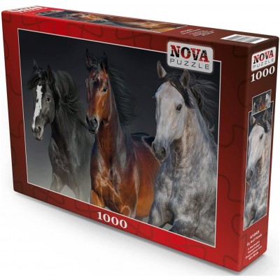 Puzzle Nova-Puzzle-41045 Three Noble Hearts