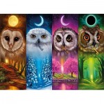 Puzzle  Nova-Puzzle-41105 Four Seasons Owls