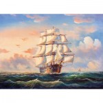 Puzzle   Sailing in Rough Waters