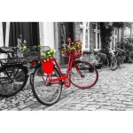 Puzzle   The Red Bicycle