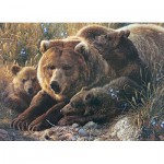 Puzzle  Cobble-Hill-54624 XXL Pieces - Grizzly Family