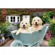 Puppies in a Wheelbarrow