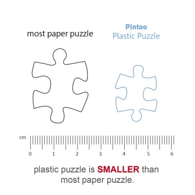 Pintoo-H1926 Plastic Puzzle - Tom Parker - Bridge