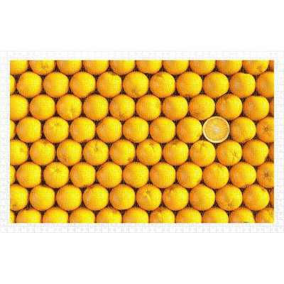 Pintoo-H1992 Plastic Puzzle - Fruits - Orange