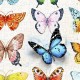 Plastic Puzzle - Beautiful Butterflies