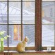 Plastic Puzzle - David Maclean - Window Cats