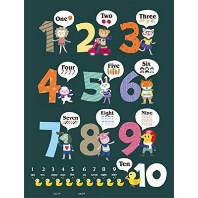 Pintoo-T1025 Plastic Puzzle - Learning To Count