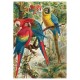 Hand-Cut Wooden Puzzle - Brehm Parrots