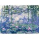 Jigsaw Puzzle - 250 Pieces - Art - Wooden - Monet : Nympheas