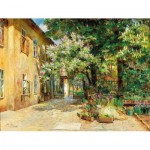 Puzzle   VUE DE LA COUR