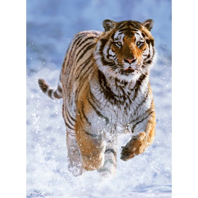 Ravensburger-00148 Jigsaw Puzzle - 500 Pieces - Tiger in the Snow