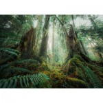Puzzle  Ravensburger-00292 Nature Edition - In the forest