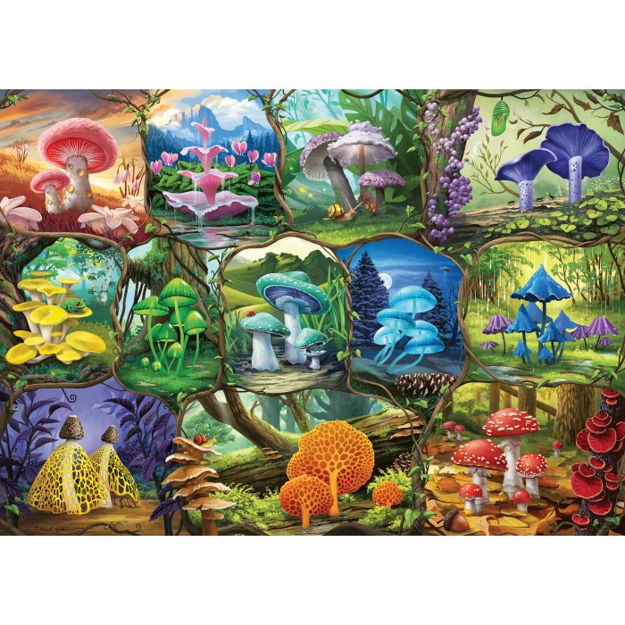 Puzzle Ravensburger-00424 Beautiful Mushrooms