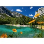 Puzzle  Ravensburger-00563 Green Lake near Tragöss