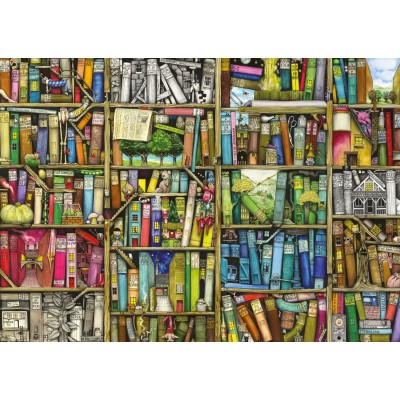 Puzzle Ravensburger-00645 Colin Thompson: Magic library
