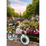 Puzzle  Ravensburger-00780 Flowers In Amsterdam