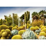 Puzzle  Ravensburger-00850 The Huntington Desert Garden, California, USA