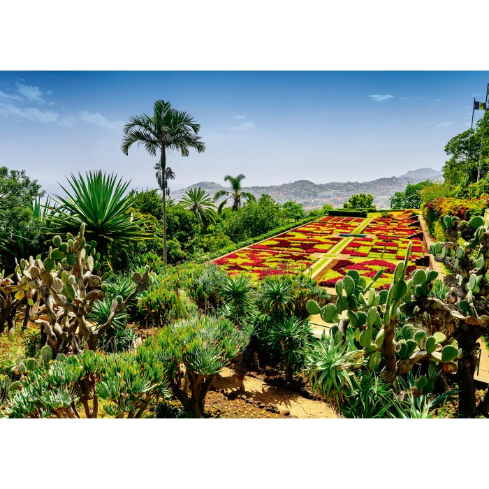 Puzzle  Ravensburger-00853 Botanical Garden, Madeira