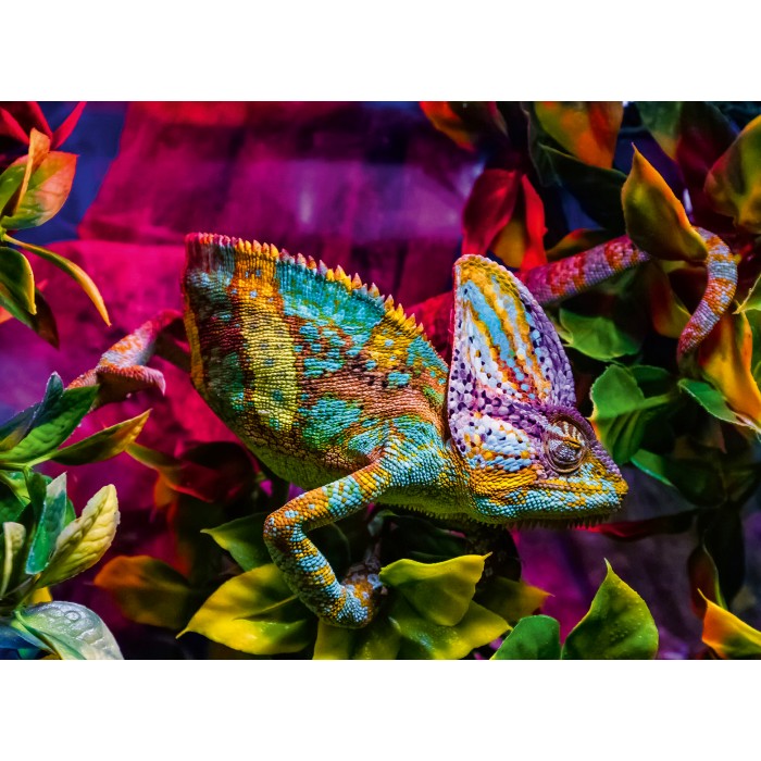  Ravensburger-01333 Chameleon - Highlight Puzzle - Colorful Animals