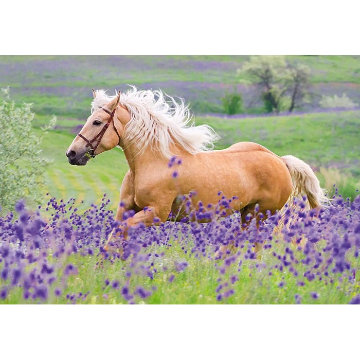 Ravensburger-05148 2 Puzzles - Horses