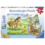  Ravensburger-08029 3 Jigsaw Puzzles - Cuddling