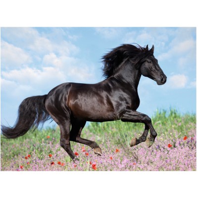 Puzzle Ravensburger-12803 Black Horse