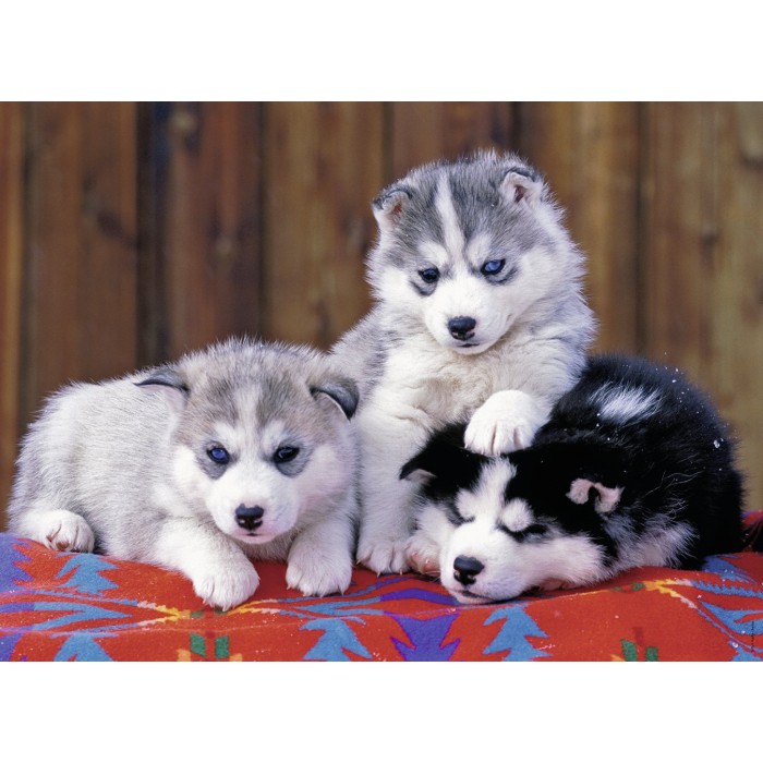 Puzzle Ravensburger-12823 XXL Pieces - Huskies