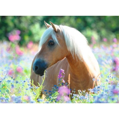 Puzzle Ravensburger-13294 XXL Pieces - Horse in the Field
