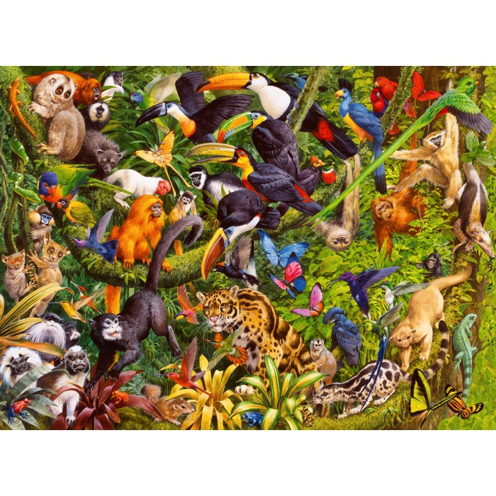 XXL Pieces - Colourful jungle