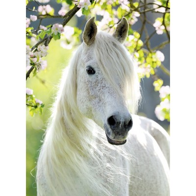 Puzzle Ravensburger-14726 White Horse