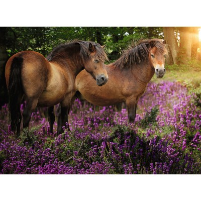 Puzzle Ravensburger-14813 Ponies in the Flowers
