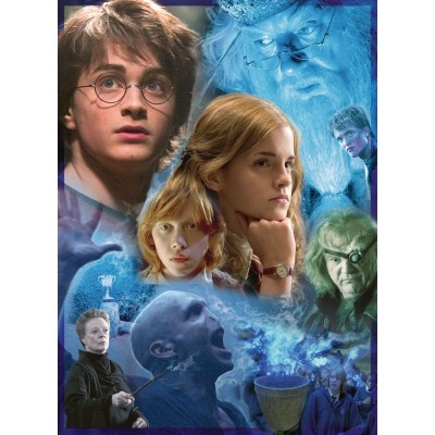  Harry Potter in Hogwarts (TM) 