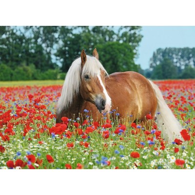 Puzzle Ravensburger-14831 Horse in the Poppy Field