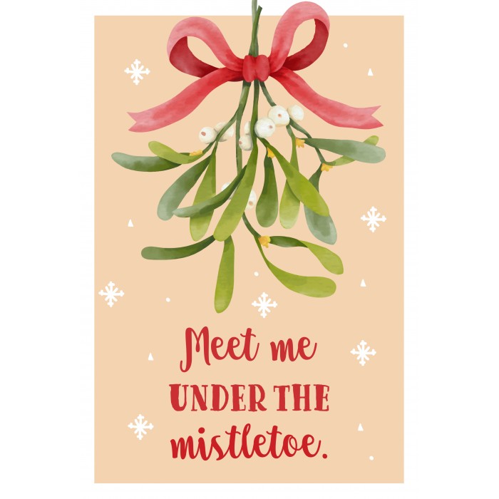 Puzzle  Ravensburger-17358 Meet me under the mistletoe