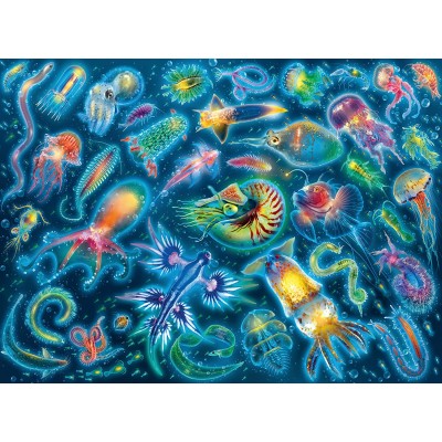 Puzzle Ravensburger-17375 Colorful Jellyfish