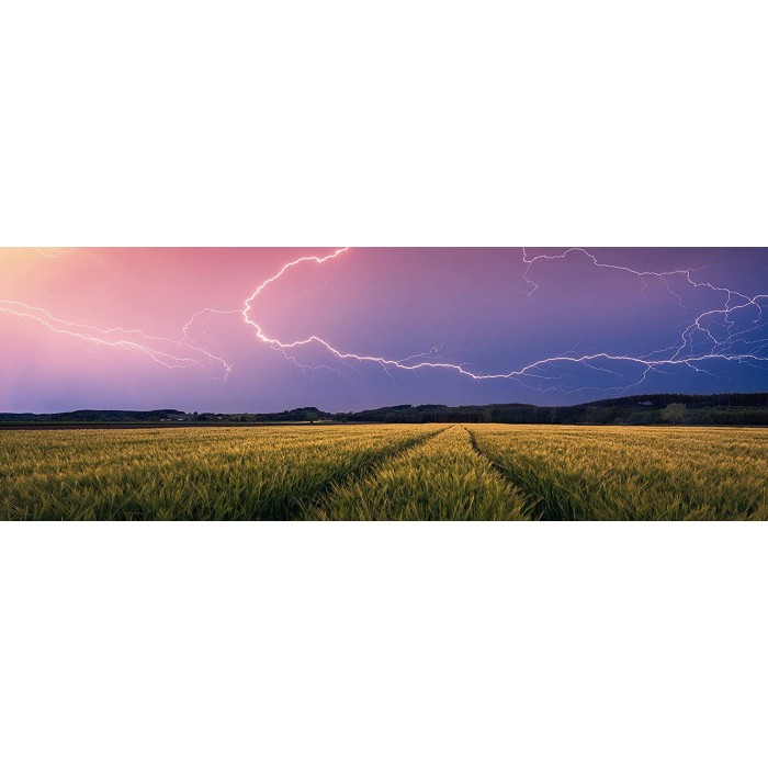 Nature Edition - Summer thunderstorm
