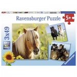   3 Jigsaw Puzzles - Horses