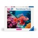 Lionfish - Highlight Puzzle - Colorful Animals