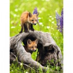 Puzzle   XXL Pieces - Curious Foxes