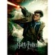 XXL Pieces - Harry Potter