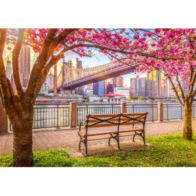 Puzzle Roovi-80677 New York, USA