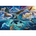 Puzzle  Schmidt-Spiele-56484 Arctic Animals