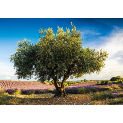 Puzzle Schmidt-Spiele-58357 Olive Tree in Provence