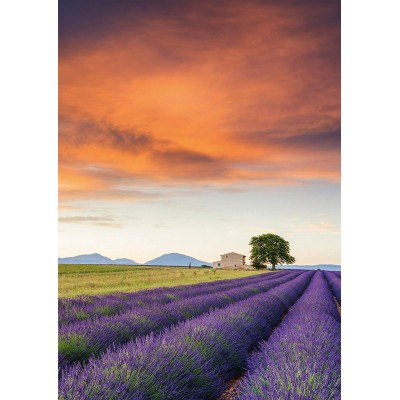 Puzzle Schmidt-Spiele-58364 Lavender Field, Provence