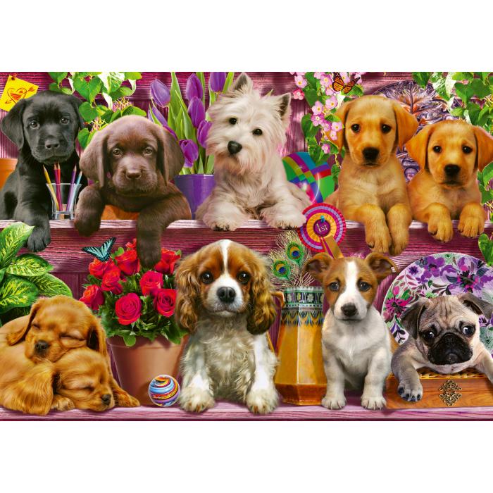 Puzzle  Schmidt-Spiele-58973 Dogs on a Shelf