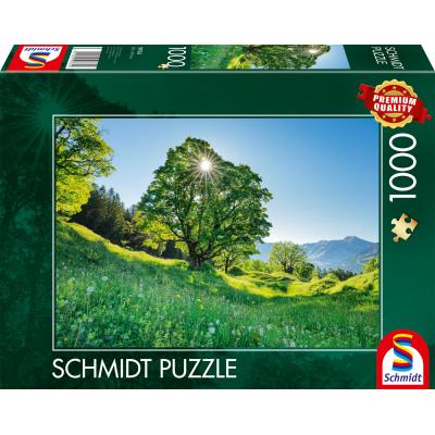 Puzzle Schmidt-Spiele-59761 Sycamore Maple in the Sun - St. Gallen, Switzerland