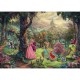 Thomas Kinkade - Disney, The Sleeping Beauty